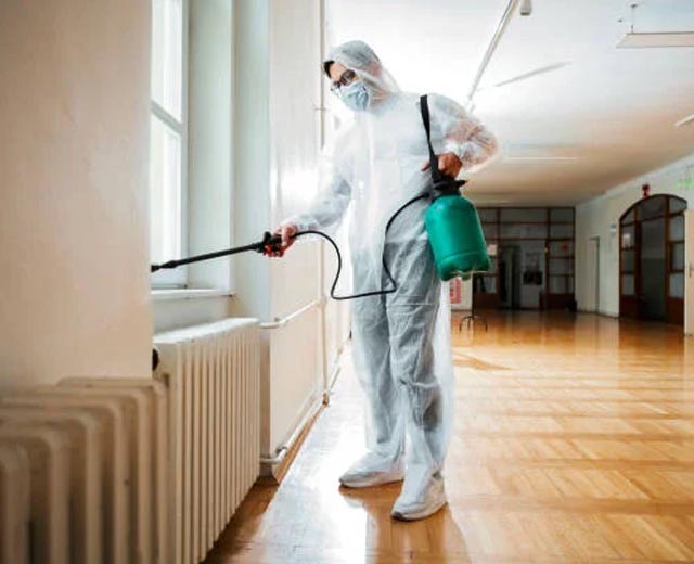 Dératisation par Expertise Sanitaire à Paris (75)